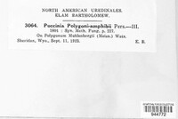 Image Associated With the Occurence